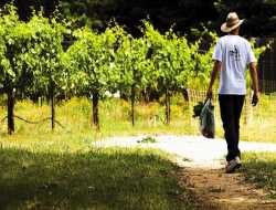 Οδηγίες για τα βιβλία των αγροτών του ειδικού καθεστώτος