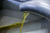 Έτσι θα ξεχωρίσετε το νοθευμένο ελαιόλαδο