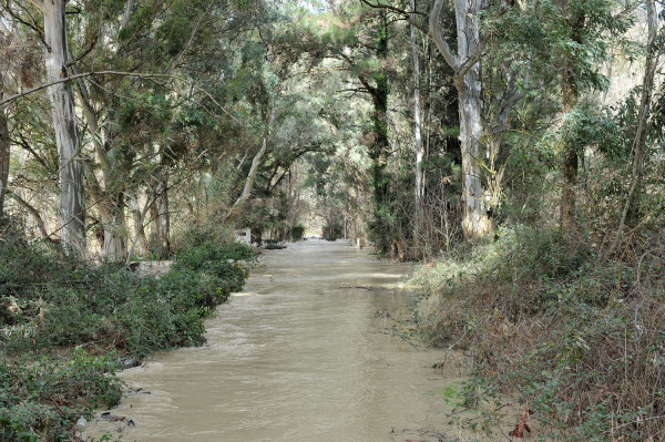 Ξεκινούν οι αιτήσεις για το επίδομα ρητινεργατών 2018