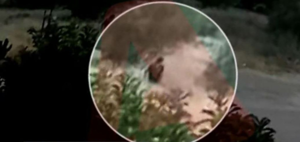 Φωτιά στην Πεντέλη: Στα χέρια των αρχών βίντεο – ντοκουμέντο που καταγράφει εμπρησμό (βίντεο)