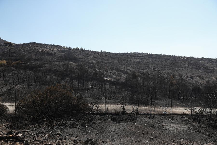 Η κλιματική αλλαγή είναι εδώ: Tριπλασιάστηκαν οι ζεστές ημέρες στην Ελλάδα, πώς συνδέεται ο καύσωνας με τις φωτιές