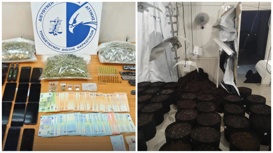 Είχαν μετατρέψει σπίτι στη Νέα Μάκρη σε... χασισοφυτεία: Στη «φάκα» τέσσερα άτομα