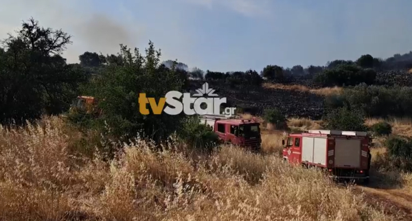 Χωρίς ενεργό μέτωπο η φωτιά στον Ορχομενό
