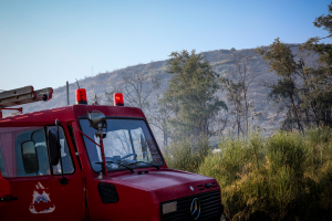 Γρεβενά: Φωτιά στη Βάλια Κάλντα - Σηκώθηκε ελικόπτερο