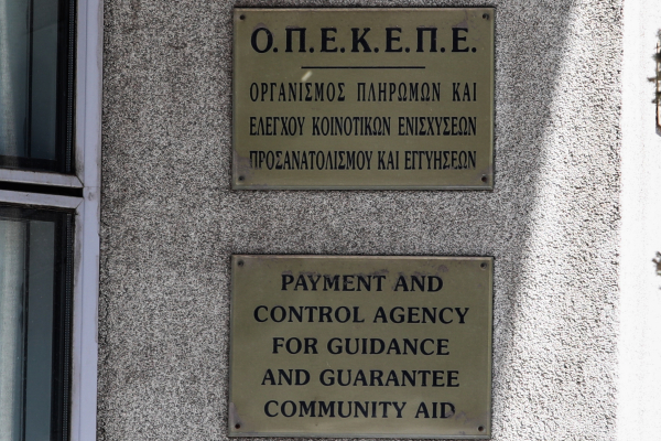 Έρχεται νέα πληρωμή του ΟΠΕΚΕΠΕ κονστά στα Χριστούγεννα - Κτηνοτρόφοι κινδυνεύουν να χάσουν 2.500 ευρώ