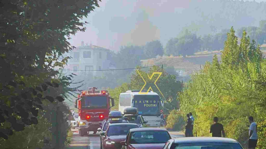 Τέθηκε η υπό έλεγχο η φωτιά στη Χαλκιδική