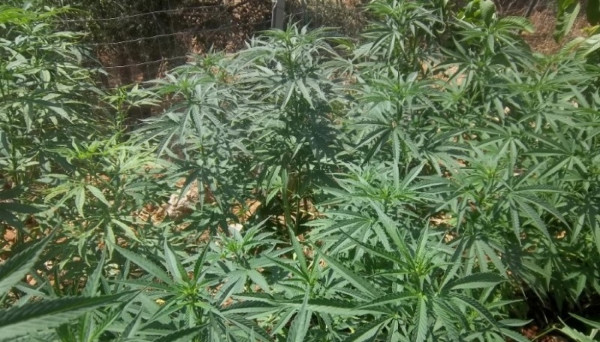 photo: αρχείο Dikaiologitika News