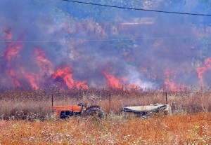 Πυρκαγιά σε εξέλιξη στην περιοχή Αγίου Θωμά Δενδρών Αργολίδας