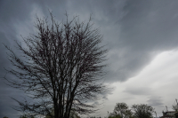 Μαρουσάκης: Σημαντικό επεισόδιο αφρικανικής σκόνης - Αλλού φθινόπωρο και αλλού άνοιξη