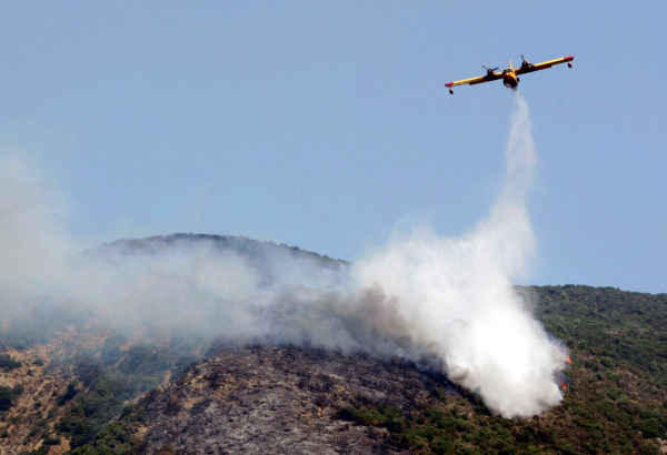 Φωτιά στην Αφροξυλιά Ναυπακτίας, επιχειρούν ισχυρές πυροσβεστικές δυνάμεις