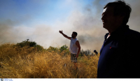 Καλή η εικόνα από τη φωτιά στο Ναύπλιο - Σε ύφεση η πυρκαγιά στη Νέα Αλμυρή Κορινθίας