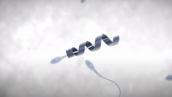 American Chemical Society