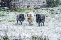 Πού θα πέσουν χιόνια σήμερα - Ο καιρός σε Αθήνα και Θεσσαλονίκη