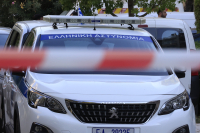Κέρκυρα: Στον εισαγγελέα ο οδηγός που φέρεται να πάτησε σκόπιμα σκύλο που κοιμόταν