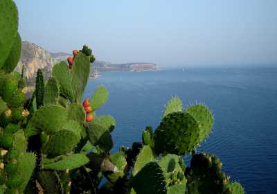 Ευέλικτη και αδήλωτη εργασία κάνουν θραύση σε επισιτισμό και τουρισμό