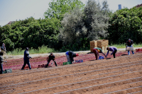 Οι Έλληνες εργάζονται περισσότερο στην ΕΕ, αλλά παίρνουν τα λιγότερα