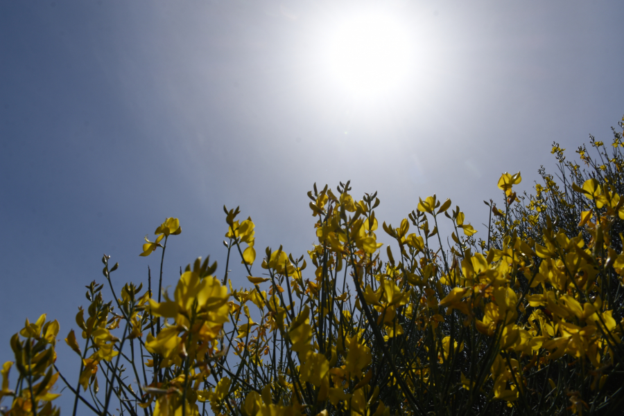 Αγίου Πνεύματος και Θερινό Ηλιοστάσιο μαζί