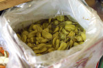 photo: Eurokinissi