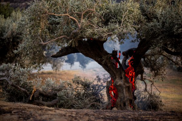 Άνιση μάχη με την φωτιά και τα 13 μποφόρ στο Ρέθυμνο: Ξέφυγε το μέτωπο προς Αγία Παρασκευή