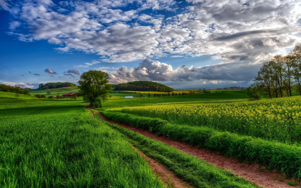 Πρόγραμμα «Νέα Γεωργία για τη Νέα Γενιά»: Κατάρτιση στον Πειραματικό Αγρό στην Αλίαρτο