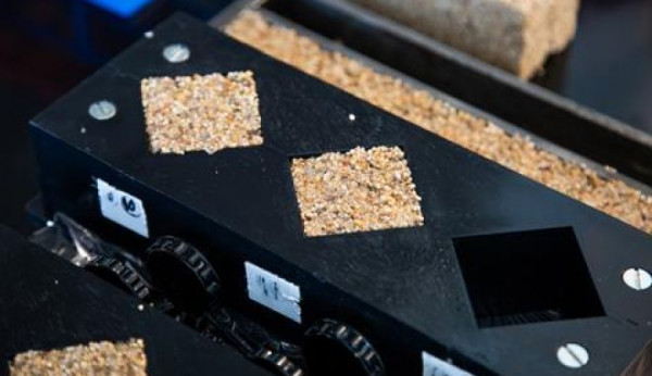 Το μέλλον είναι εδώ: Δημιουργήθηκε «ζωντανό» μπετόν που κλείνει τρύπες μόνο του