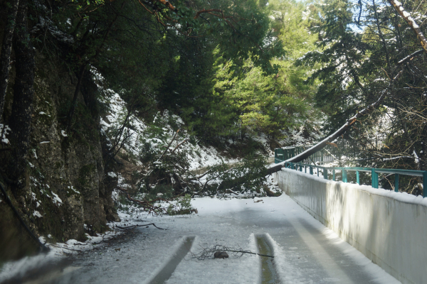 Καιρός: Έκτακτο δελτίο ΕΜΥ - Έρχεται έντονο κύμα ψύχους