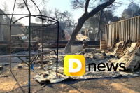 Φωτιά στη Βαρυμπόμπη: Κρανίου τόπος οι καμένες περιοχές - Στάχτη δάσος, περιουσίες και ζώα (εικόνες, βίντεο)