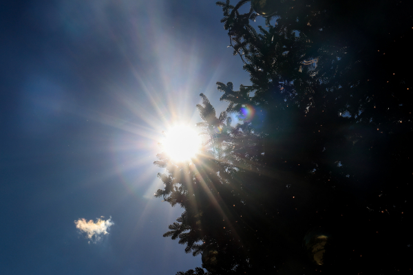 Καιρός: Ήλιος και θερμοκρασία στους 19 βαθμούς σήμερα - Χαλάει από το Σάββατο