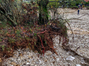 Κακοκαιρία Adel: Τεράστιες καταστροφές στη Θάσο - Πλημμύρισαν σπίτια, παρασύρθηκαν αυτοκίνητα (βίντεο)