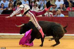 Σοκ στην Ισπανία: Ταυρομάχος έζησε από θαύμα μετά από τα σφοδρά χτυπήματα του ταύρου (video)