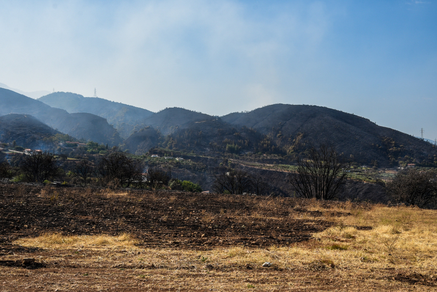 Φωτιά τώρα στο Κορωπί