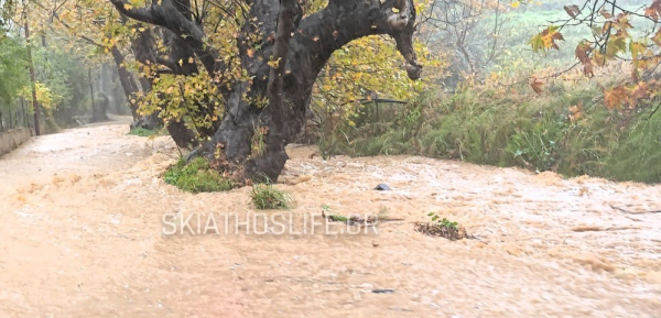 Kακοκαιρία: Χαλαζόπτωση και καταιγίδες στην Κρήτη - «βούλιαξε» η Σκιάθος (εικόνες και video)