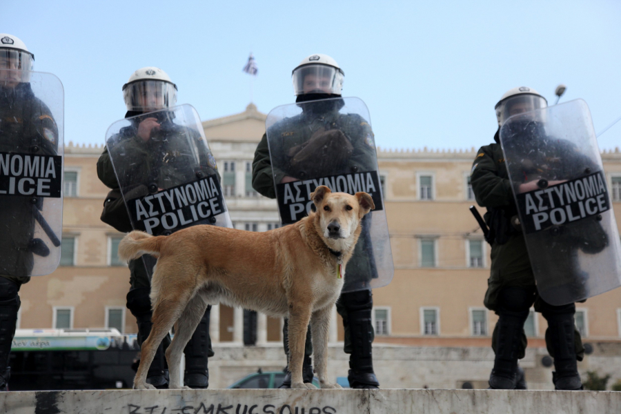 Παγκόσμια Ημέρα Σκύλου: Δεν ξεχνάμε τον αγωνιστή «Λουκάνικο»