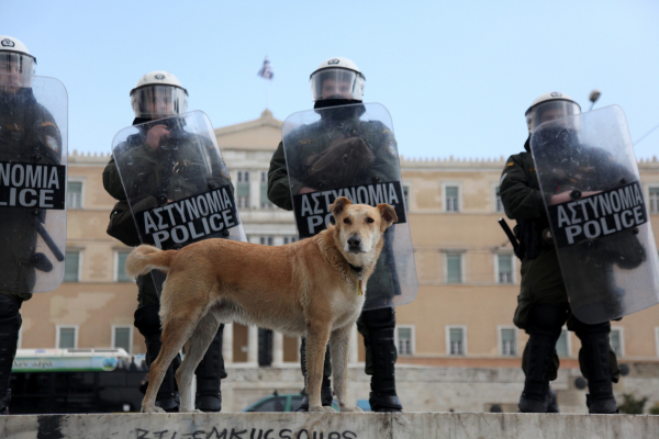 Παγκόσμια Ημέρα Σκύλου: Ο αγωνιστής και επαναστάτης «Λουκάνικος»