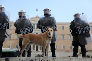 Παγκόσμια Ημέρα Σκύλου: Ο αγωνιστής και επαναστάτης «Λουκάνικος»