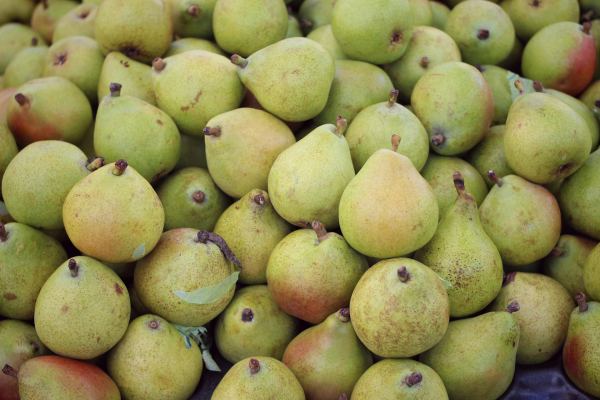 Συναγερμός στην Ευρώπη για αχλάδια Τουρκίας γεμάτα εντομοκτόνα