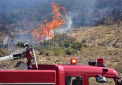 Ολοκληρώθηκε η καταγραφή των ζημιών στη Θάσο από τη πυρκαγιά