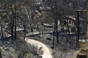 As Athens' Forests Disappear, Greece's Fire Strategy Faces New Scrutiny