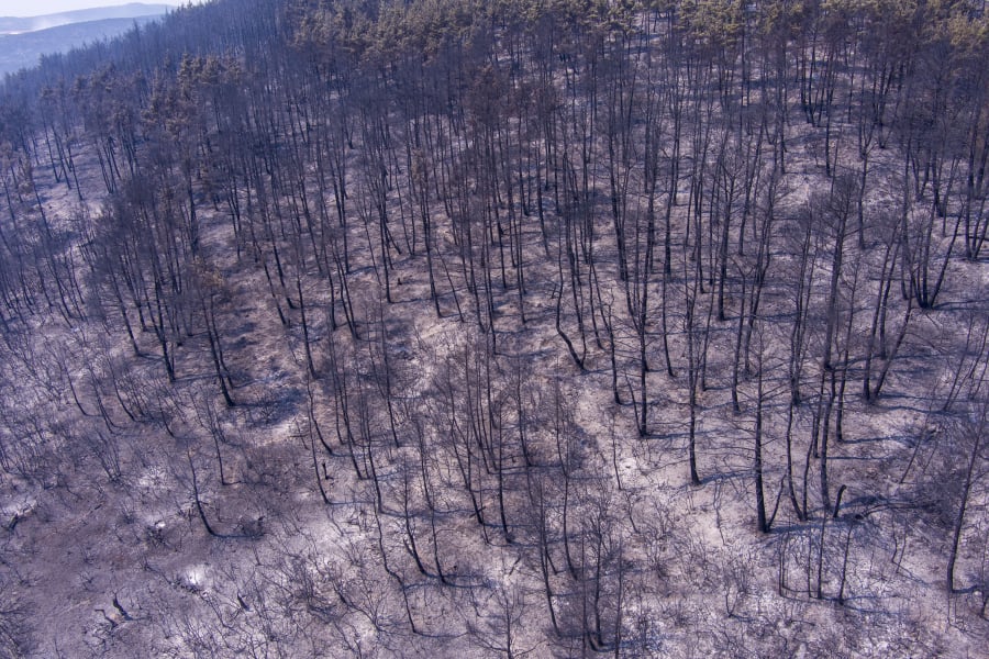 Πηγές ΥΠΕΝ: Πραγματική αποτίμηση των καμένων εκτάσεων μόνο όταν σβήσουν εντελώς οι φωτιές