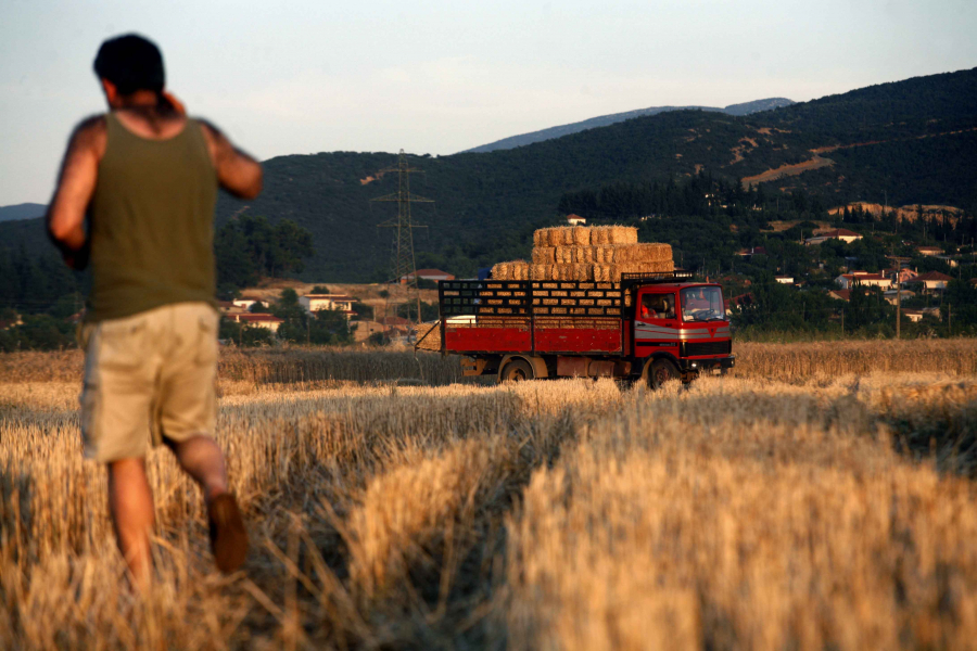 Δηλώθηκαν τα αποθέματα της χώρας σε βασικές πρώτες ύλες και δημητριακά