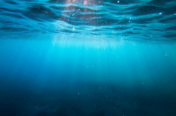 Φοιτητές στο πανεπιστήμιο Θεσσαλίας βούτηξαν στη θαλάσσια άβυσσο, αλλά δε χάθηκαν μέσα σε αυτή