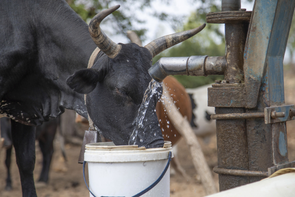 Πιθανό ένα επεισόδιο El Nino από τον Μάιο: Καύσωνες και έντονες βροχοπτώσεις το επόμενο τρίμηνο