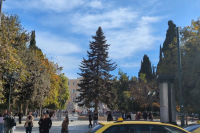 Στήθηκε το Χριστουγεννιάτικο δέντρο στο Σύνταγμα (βίντεο)