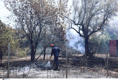 Παπαστεργίου: Για τις πυρκαγιές οι Δήμοι δεν έχουν καμία ευθύνη όπως δεν έχουν και αρμοδιότητες
