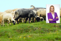 Προς διαγραφή από τη ΝΔ η Καλλιόπη Σεμερτζίδου - Παραιτήθηκε από τη θέση της