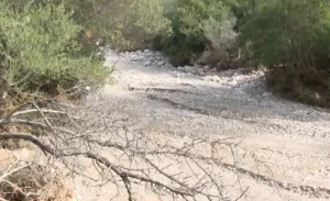 Νέα Πέραμος: 6 ημέρες κρατούσαν τον 27χρονο πριν τη δολοφονία - Τι διαπίστωσε ο ιατροδικαστής