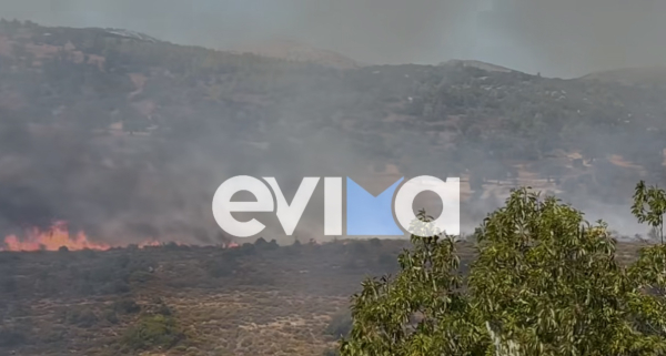 Εύβοια: Φωτιά στο Παρθένι Κύμης - Ήχησε 112