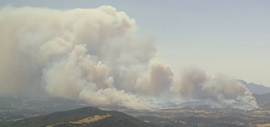 Λεπτό προς λεπτό οι φωτιές τώρα σε Αργολίδα και Αρκαδία