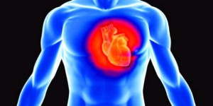 Πρόγραμμα πρόληψης καρδιαγγειακών νοσημάτων στο Δήμο Δράμας