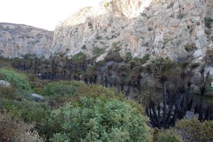 Συλλήψεις για ελεύθερο κάμπινγκ και ναρκωτικά στην Κρήτη